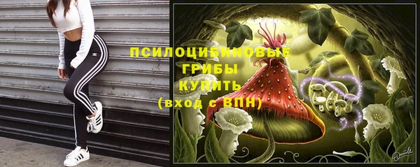 стаф Сафоново