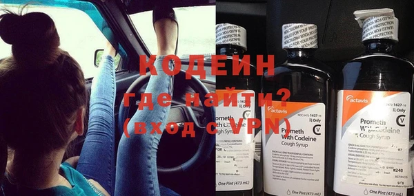 индика Ростов