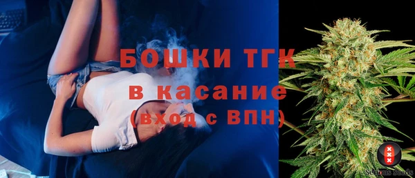 стаф Сафоново