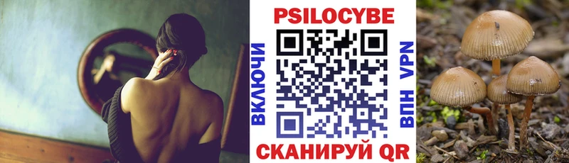 Галлюциногенные грибы Psilocybine cubensis ссылка на мегу маркетплейс Шахунья что такое